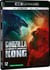 Godzilla vs Kong