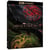 House of the Dragon - Saison 2
