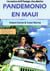 Pandemonio en Maui - Las aventuras de Kat Flanagan, chica detective™, #3