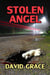 Stolen Angel