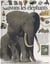 Sauvons les éléphants