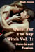 Quest For The Sky Witch Vol. 1: Swords and Passion