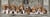 Puzzle Compact Panorama 1000 pièces - Beagles - Clementoni