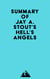 Summary of Jay A. Stout's Hell's Angels
