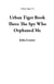 Urban Tiger Book Three The Spy Who Orphaned Me - Urban Tiger, #1