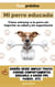 Mi perro educado: Cómo entrenar a tu perro sin importar su edad y sin experiencia