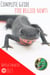 Complete Guide Fire Bellied Newts