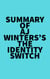 Summary of AJ Winters's The Identity Switch