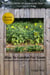 How To Garden For Goats: Gardening, Foraging, Small-Scale Grain and Hay, & More - The Little Series of Homestead How-Tos from 5 Acres & A Dream, #6