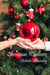 Christmas Kindness