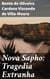Nova Sapho: Tragedia Extranha - Exploração da solidão e melancolia: uma jornada poética e reflexiva