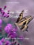 Coming Home to Roseburn: Book 2 in the Devon Trilogy