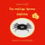 Die mollige Spinne Melma