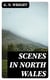 Scenes in North Wales - With Historical Illustrations, Legends, and Biographical Notices