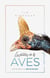 Los sentidos de las aves - Qué se siente al ser un pájaro