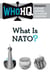 What Is NATO? - A Good Answer to a Good Question