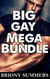Big Gay Mega Bundle
