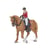 Cheval de promenade et sa cavalière