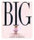 Big - The bestselling new inspirational picture story book from the creator of the Little Leaders series
