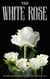 The White Rose