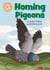 Homing Pigeons - Independent Reading Orange 6 Non-fiction
