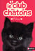 Club des chatons 6 - Filou