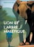 Lion et l'arbre maléfique - Autrice pour enfant