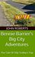 Bennie Barrier’s Big City Adventures; The Tale Of Tilly Trolley’s Trip - Bennie Barrier's Big City Adventures