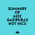 Summary of Aziz Gazipura's Not Nice