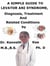 A  Simple  Guide  to  Levator Ani Syndrome,  Diagnosis, Treatment  and  Related Conditions