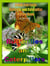 Butterflies and Caterpillars: A Kids Fun Facts Butterfly and Caterpillar Nature Book