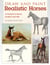 Draw and Paint Realistic Horses - Projects in Pencil, Acrylics and Oills