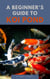 A Beginner's Guide To Koi Ponds