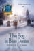 The Boy In Blue Denim - The Porch Swing Mysteries