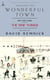 Wonderful Town - New York Stories from The New Yorker