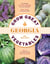 Grow Great Vegetables in Georgia