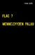 FLAC 7 - Menneisyyden paluu