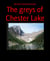 The greys of Chester Lake