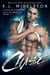 The Chase - Diamond Lake Romance, #2