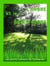 L'ARBRE et le BRIN D'HERBE (Conte pour enfants tout illustré en couleurs)