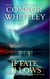 If Fate Allows: A Holiday Contemporary Fantasy Short Story