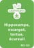 Graphismes et animaux - MS-GS : Hippocampe, escargot, tortue, écureuil - Un lot de 23 fiches à télécharger