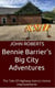 Bennie Barrier’s Big City Adventures; The Tale Of Highway Harry’s Home Improvements - Bennie Barrier's Big City Adventures