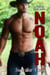 Noah - Mitchell - Healy Series