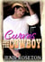 Curves and the Cowboy - Coldwater Springs, #1