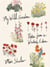 My Wild Garden - Notes from a Writer's Eden