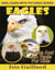 Eagles Photos and Fun Facts for Kids - Kids Learn With Pictures, #29