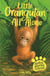 Little Orangutan All Alone - Book 3