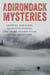 Adirondack Mysteries - Gripping Thrillers, Detective Stories, and Crime Fiction Tales in the Mountains