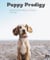 Puppy Prodigy - Mastering the Basics of Puppy Training